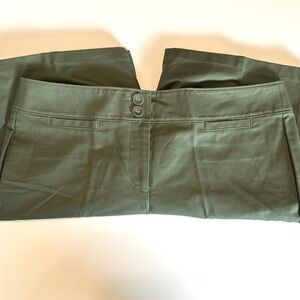 Ann Taylor Green Women's Shorts
